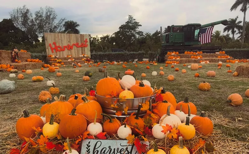 Image: A Fall Harvest Festival Is Coming to Miami