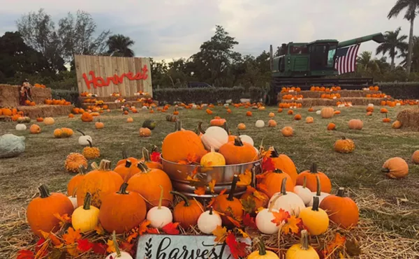 Image: A Fall Harvest Festival Is Coming to Miami