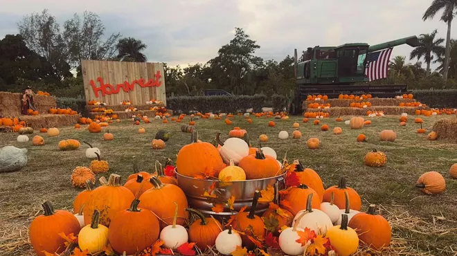 a pumpkin patch with two signs reading "Harvest"
