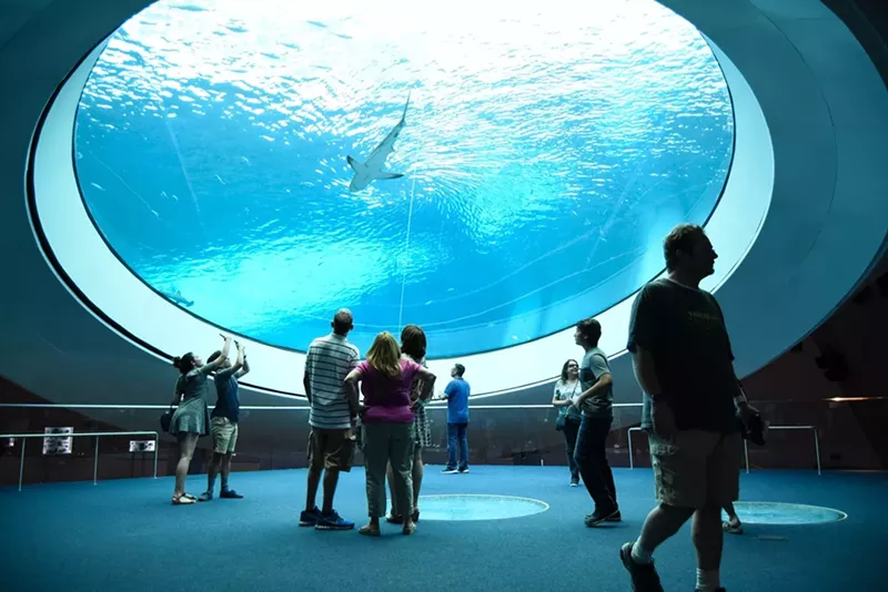 Image: Will you snag a coveted sleeping spot beneath the giant oculus?