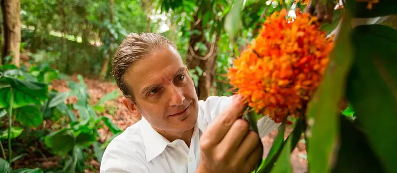 Image: A closeup of a researcher holding a bright flower