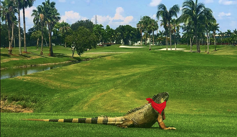 Image: Artist conception
