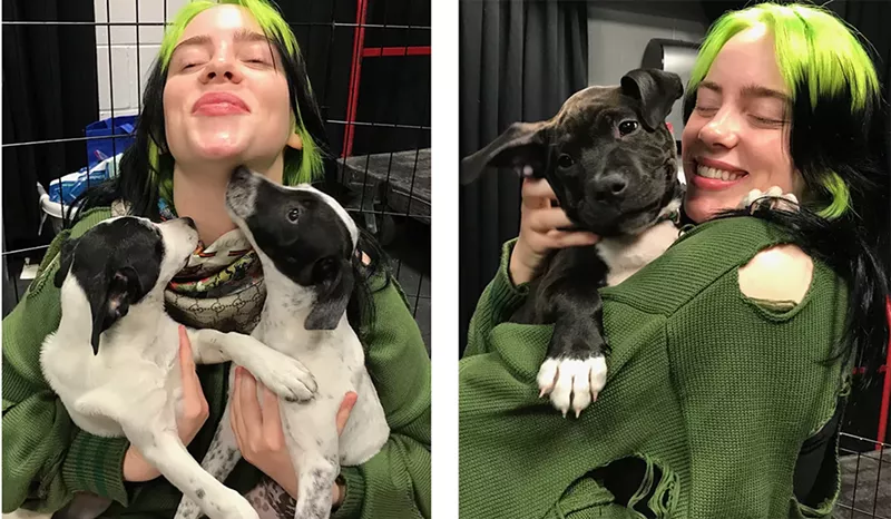 Image: Billie Eilish plays with Starburst, Eye Patch, and Eve — shelter puppies from Miami-Dade Animal Services.