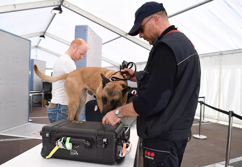 Image: Archival photo of a sniffer dog getting nosy at Olympiastadion in Berlin.