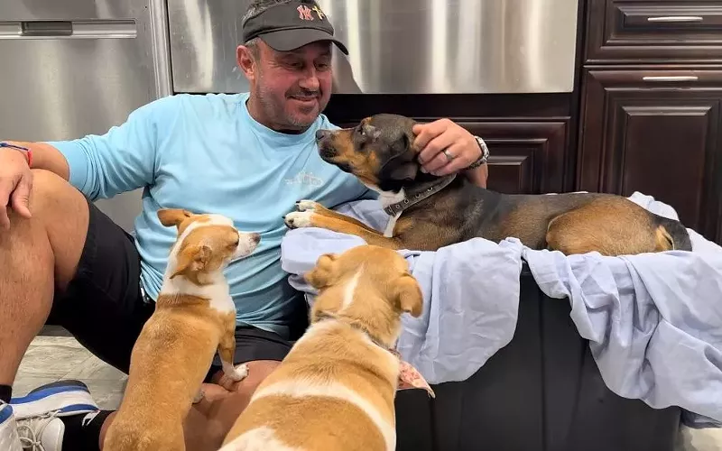 Image: Margate mayor petting his dog while it recovers from surgery