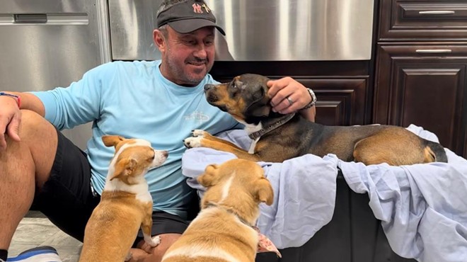 Margate mayor petting his dog while it recovers from surgery