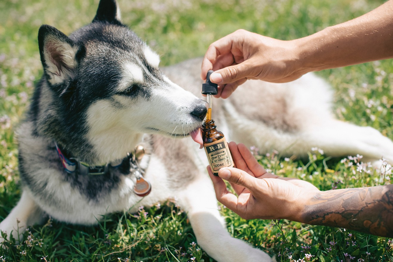 The FDA is working to evaluate the safety of CBD for pets and humans alike.