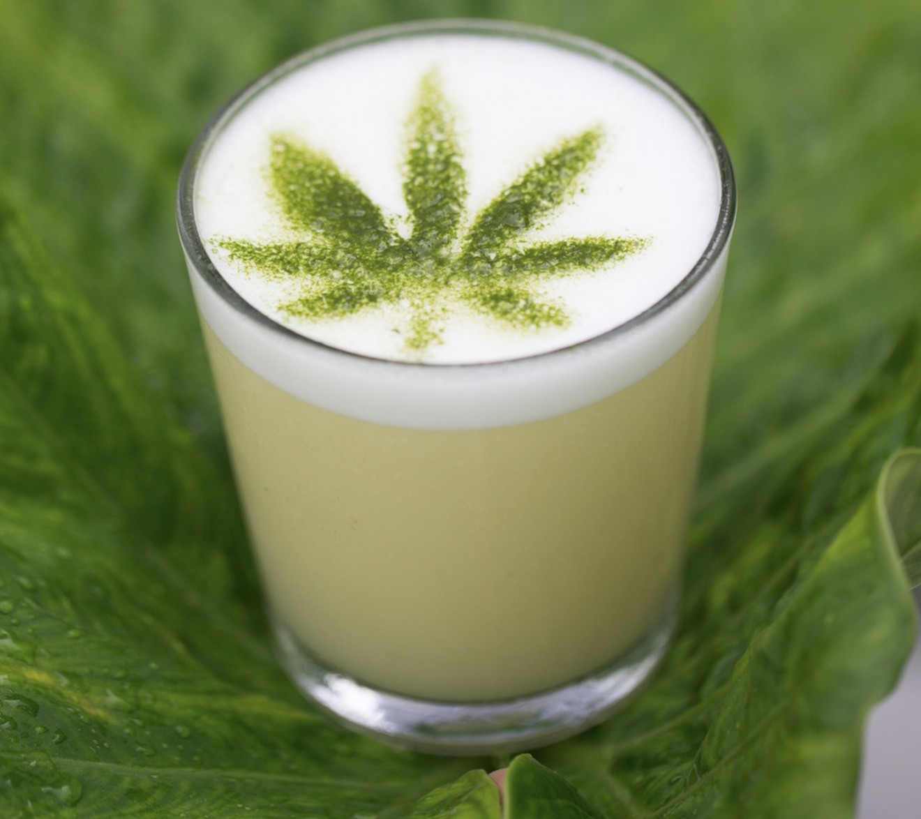 Plant Miami's CBD-infused cocktail is called Plant Medicine.