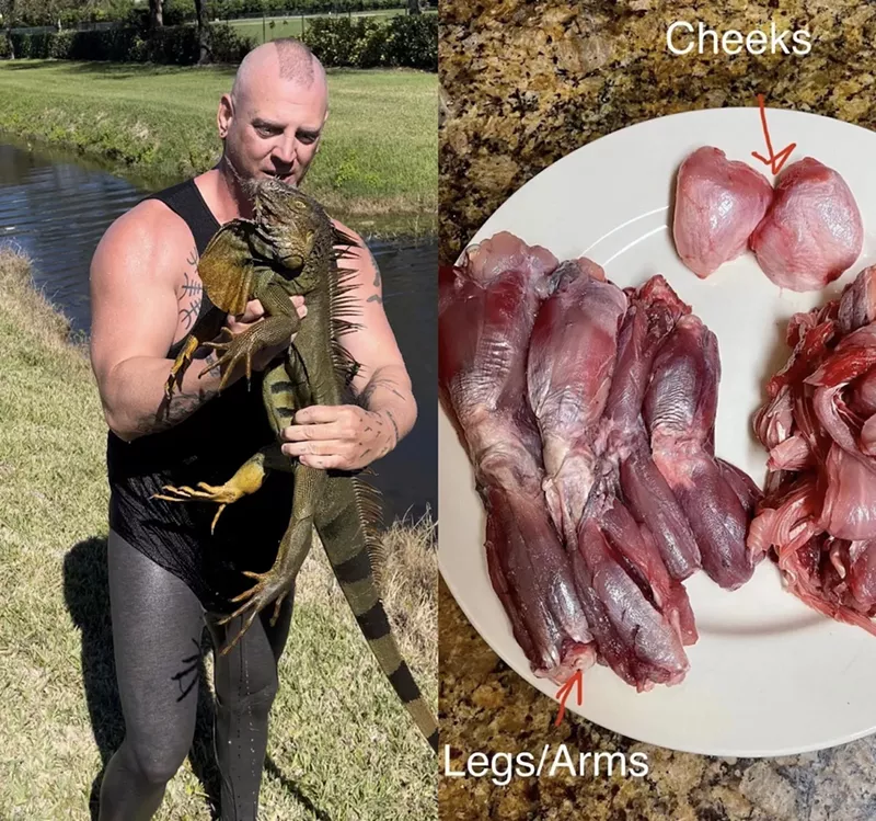 Image: During the recent cold snap, South Florida native Ryan Ausburn caught more than a dozen iguanas to cook up in various preparations.