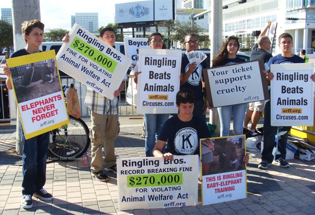 Animal advocates protest Ringling Bros.