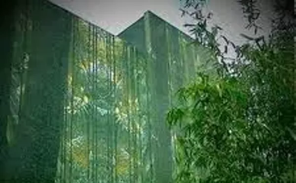Image: Cisneros Fontanals Art Foundation