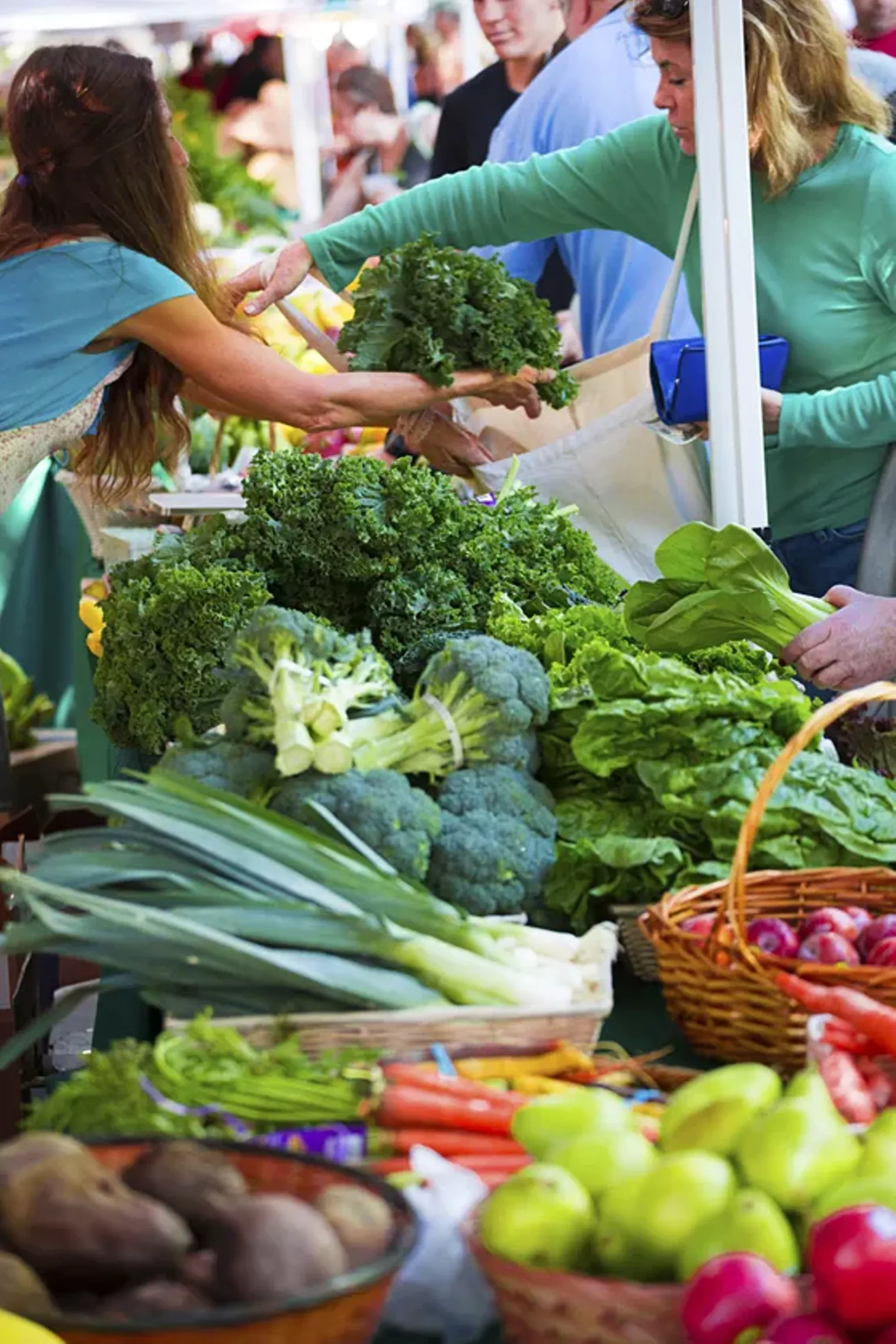 Closer Look Pinecrest Gardens Farmers' Market Miami Miami New