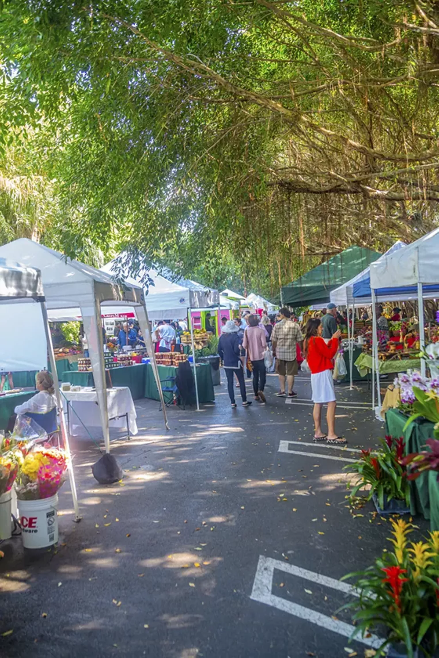 Closer Look Pinecrest Gardens Farmers' Market Miami Miami New