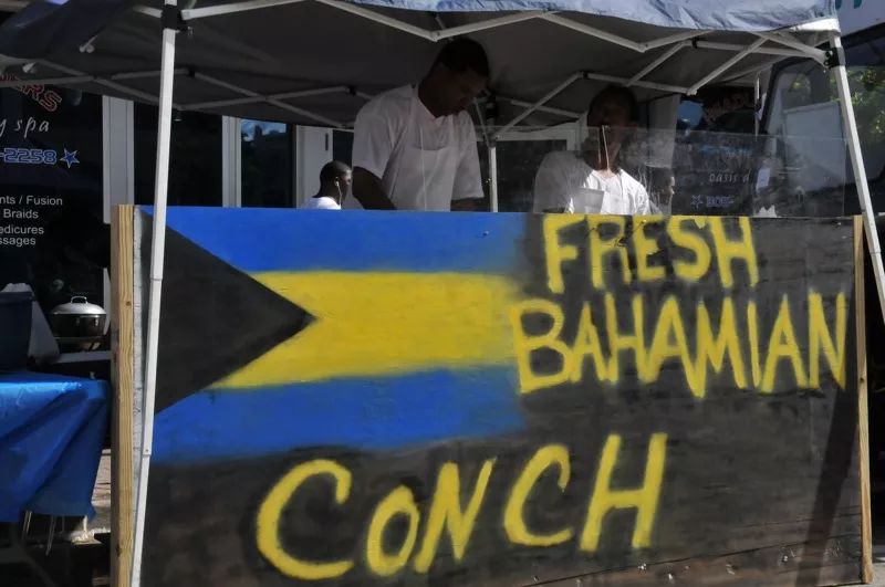 Image: A scene from the 2011 Coconut Grove Goombay Festival