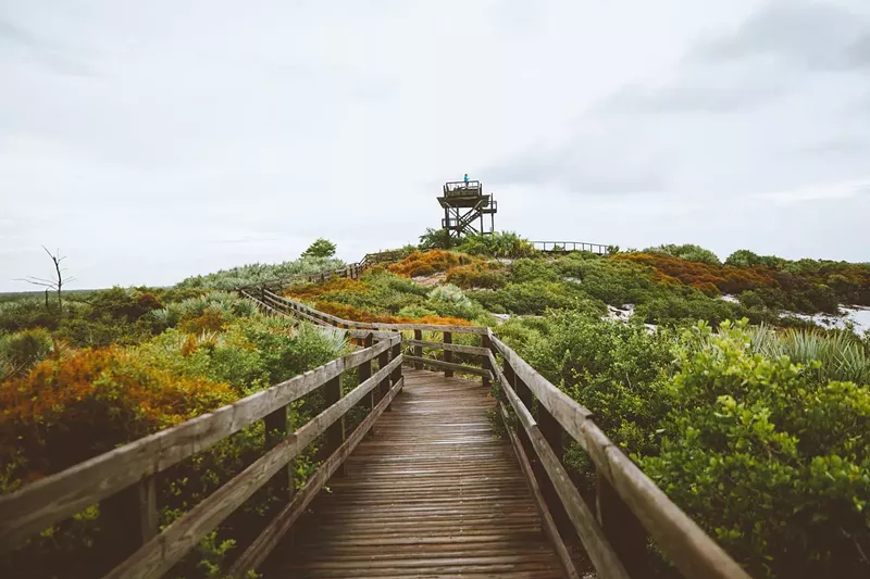 Image: wooden boardwalk amid scrub brush leading to a wooden observation tower