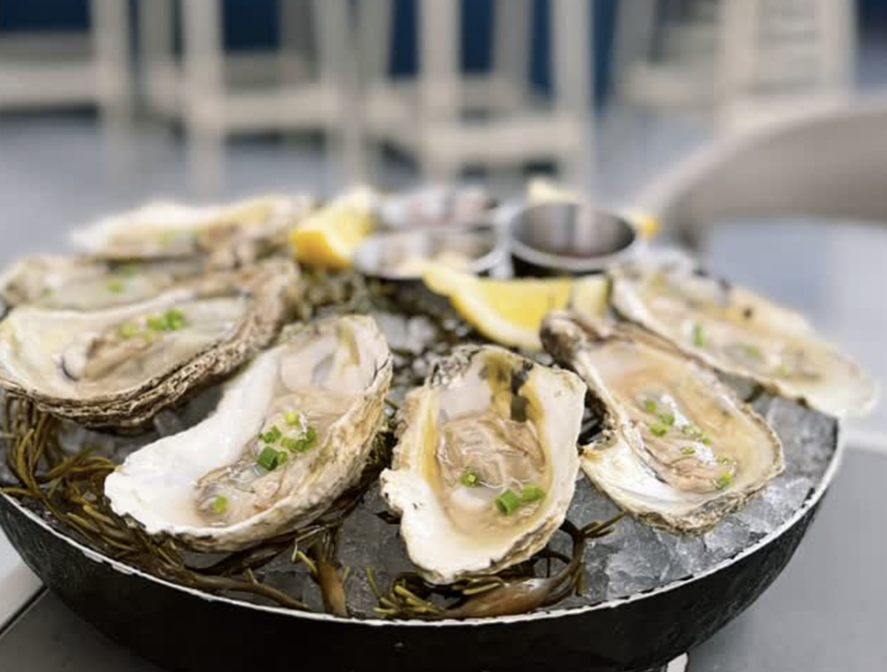 Image: Popular Coral Gables rooftop bar and restaurant Cebada Rooftop has just reopened with a new menu featuring a raw bar, paella, steak, and Spanish tapas.
