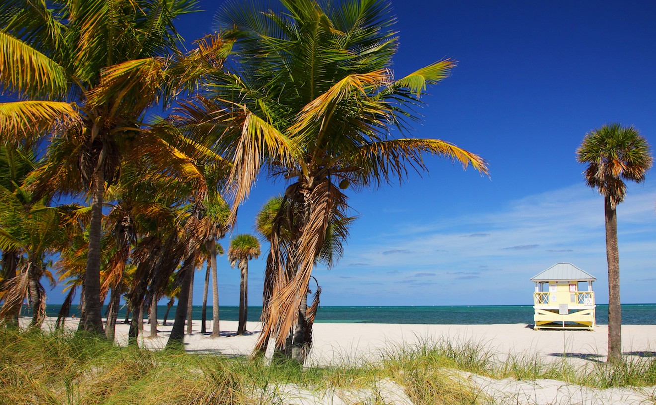 Best Beach (Miami) 2022 Crandon Park Beach Best Restaurants, Bars, Clubs, Music and Stores in Miami Miami New Times picture