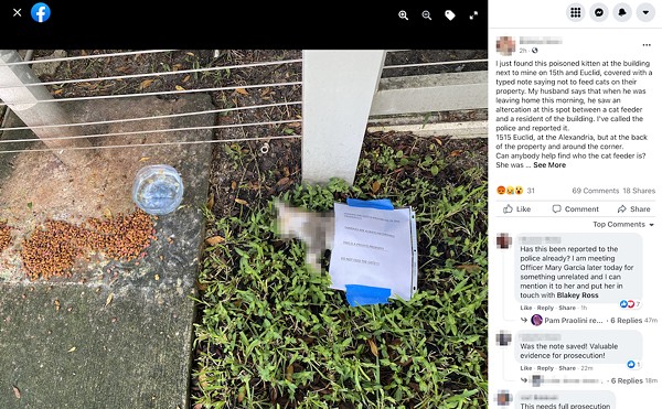 Dead Kitten Found in Miami Beach With Ominous Note Taped to Its Corpse