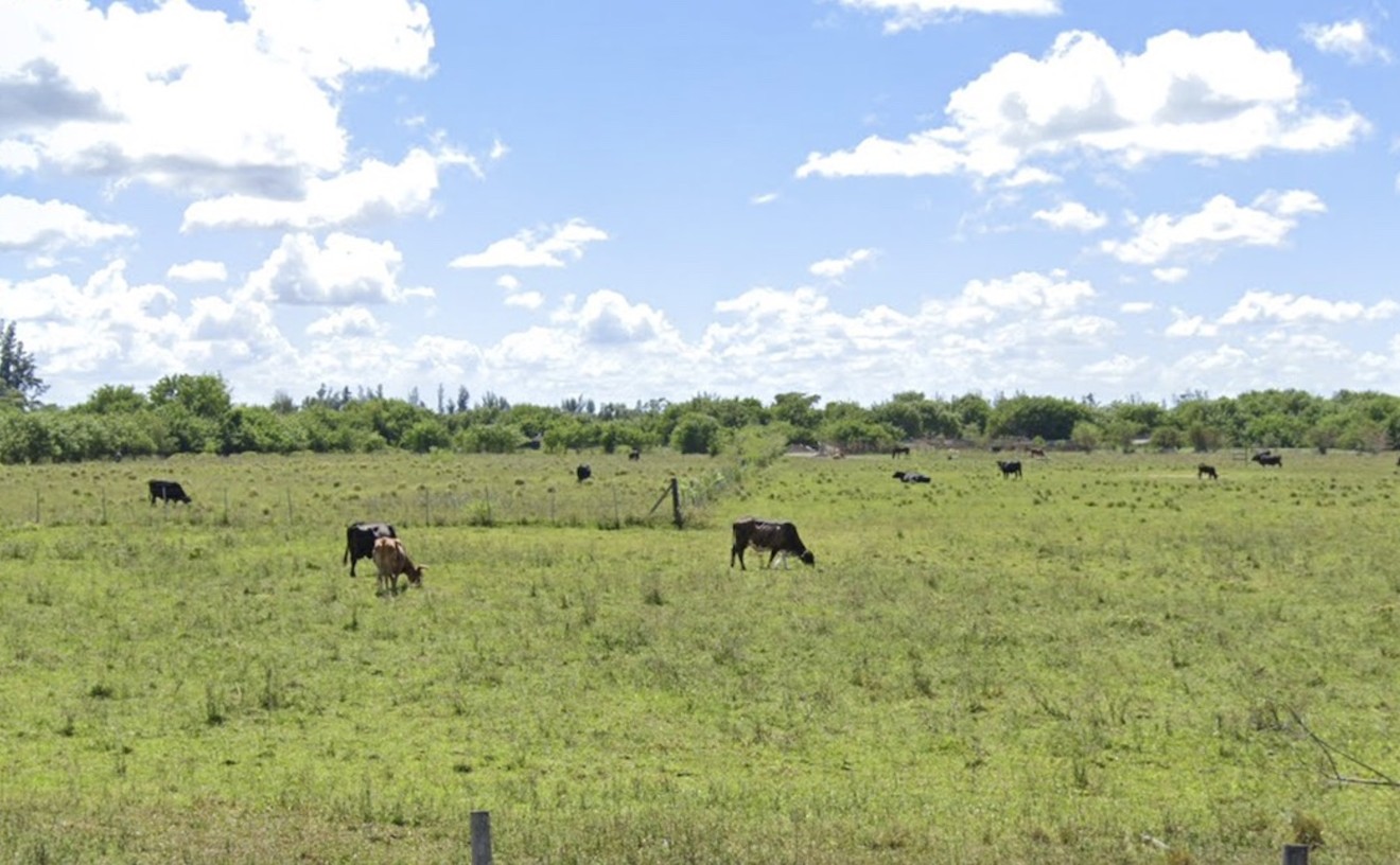 BREAKING MOOS! Doral's Beloved Cow Pasture to be Replaced by Warehouses