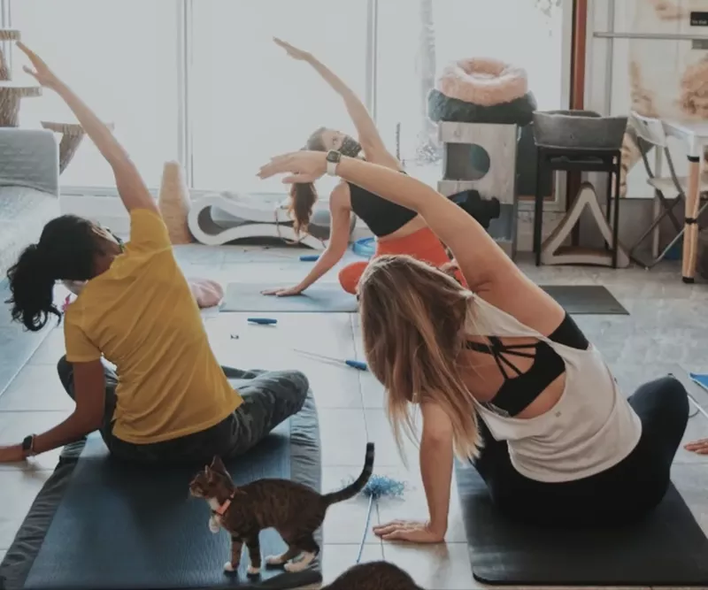 Image: Katie Doyle leads a recent Take Paws session at the Cat's Meow Café.