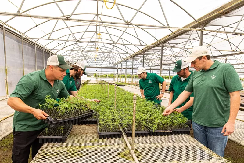 Image: Florida is uniquely positioned to become a major player in the hemp industry.