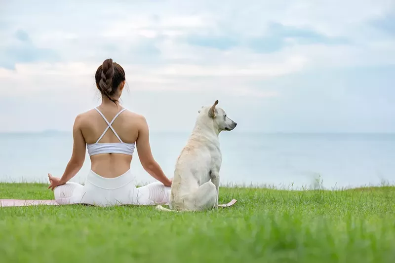 Image: Fido and yoga come together for Eden Roc Miami Beach's puppy yoga.
