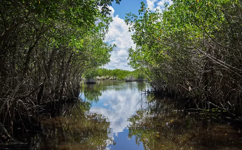 Image: Everglades National Park Plans to Hike Entrance Fees to Pay for Maintenance