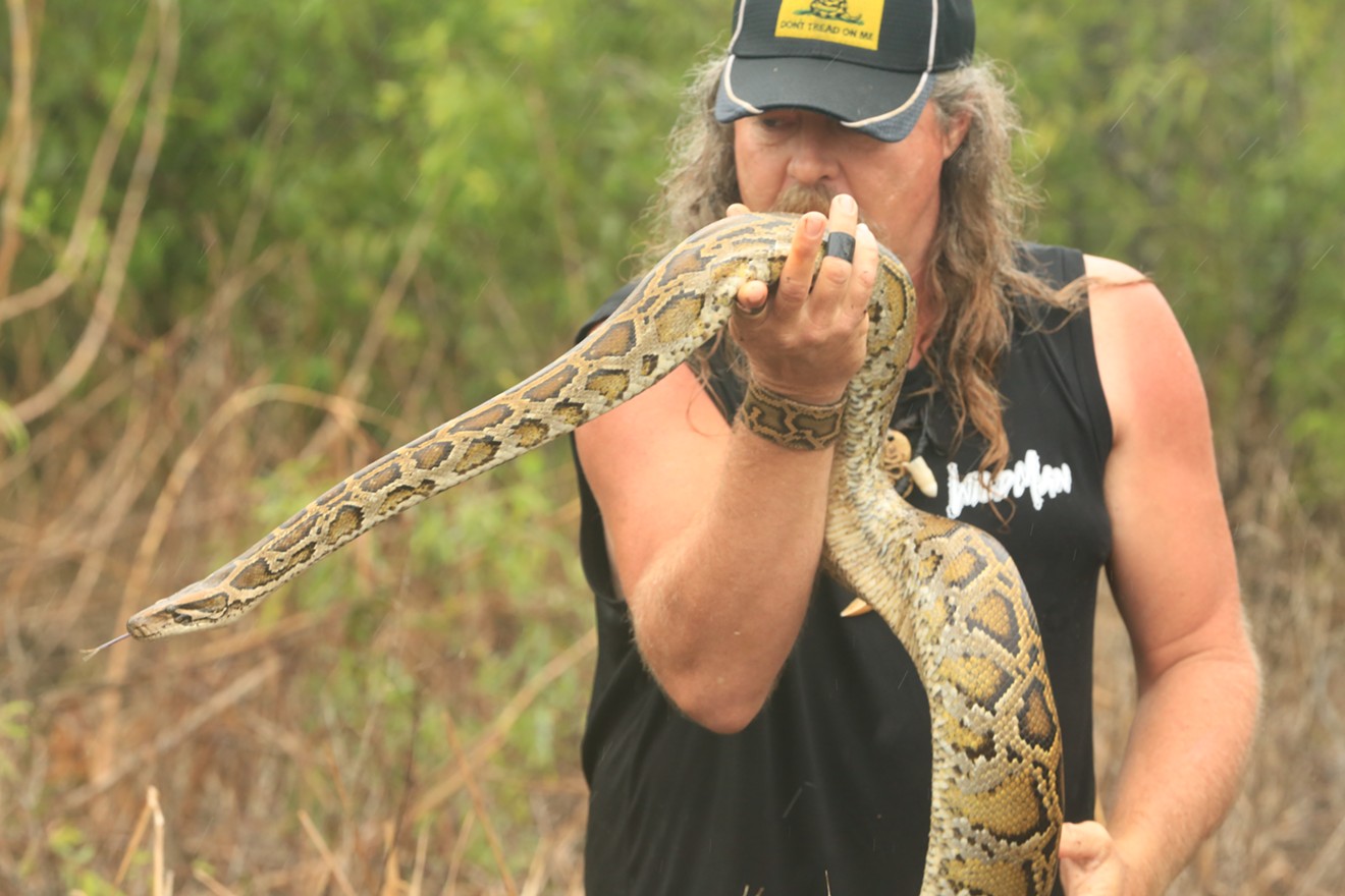 Dusty "Wild Man" Crum hunts invasive Burmese pythons in the Everglades on his new show Guardians of the Glades.