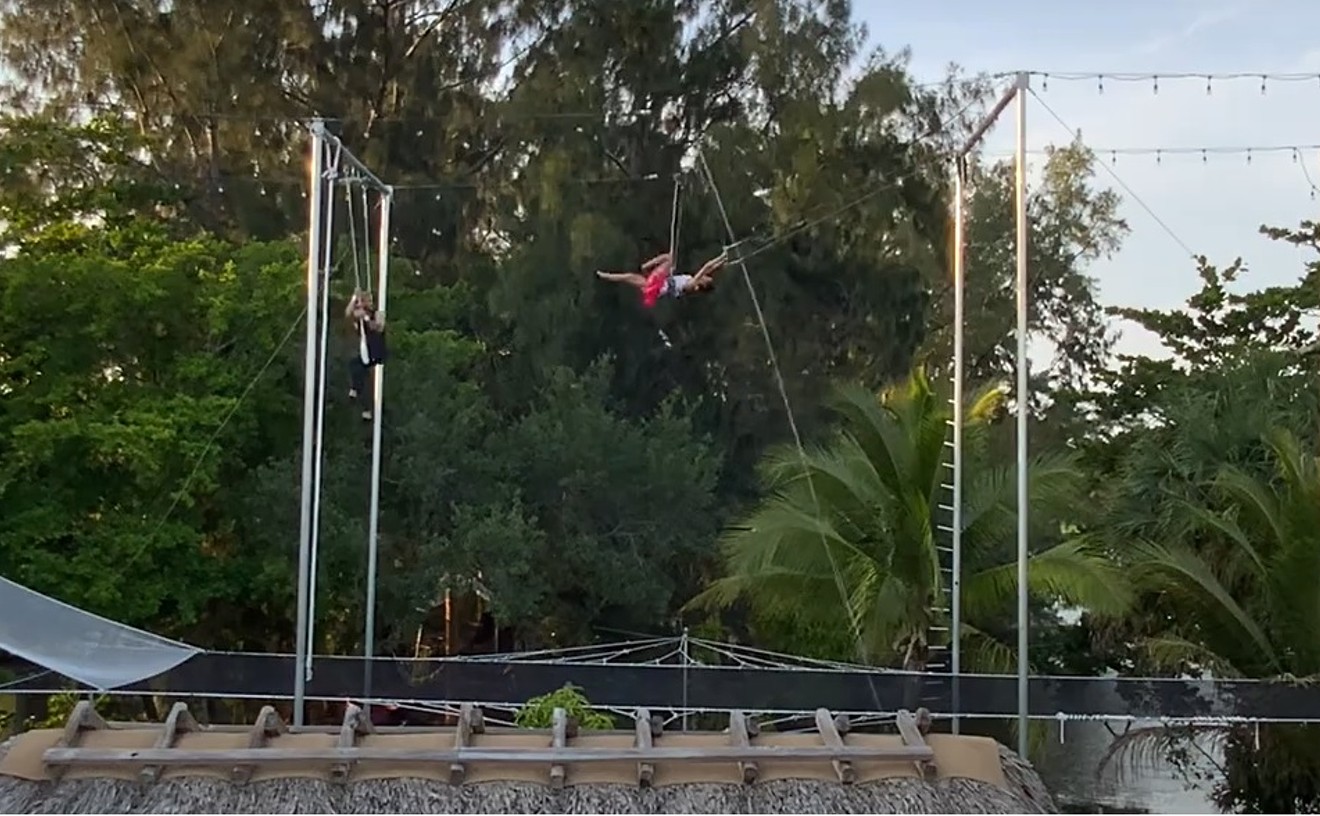 Backyard Trapeze Artist Challenges County Use of Aerial Images