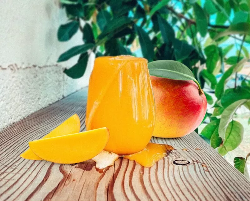 Image: Fairchild Garden has partnered with Lincoln's Beard Brewing Co. to produce a limited-edition mango sour, the "Best Day Ever!"