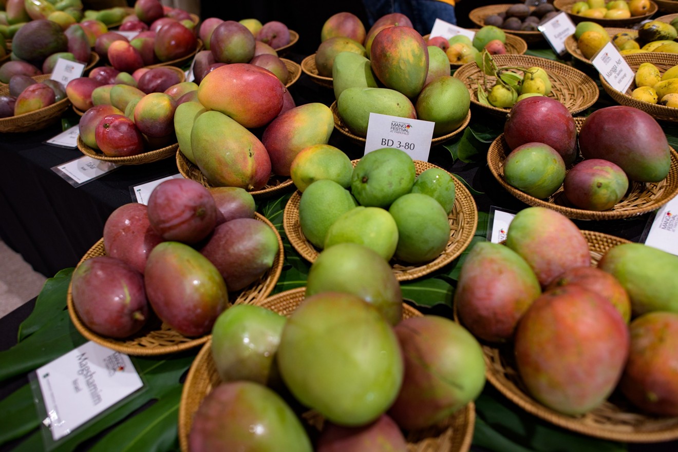 Mangoes for auction. See more photos from the International Mango Festival at Fairchild Tropical Botanic Garden here.