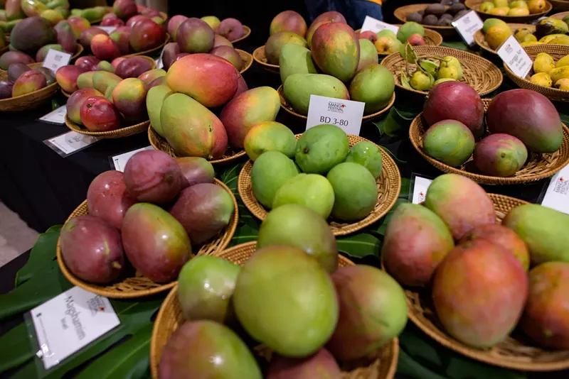 Image: Mangoes for auction. See more photos from the International Mango Festival at Fairchild Tropical Botanic Garden here.