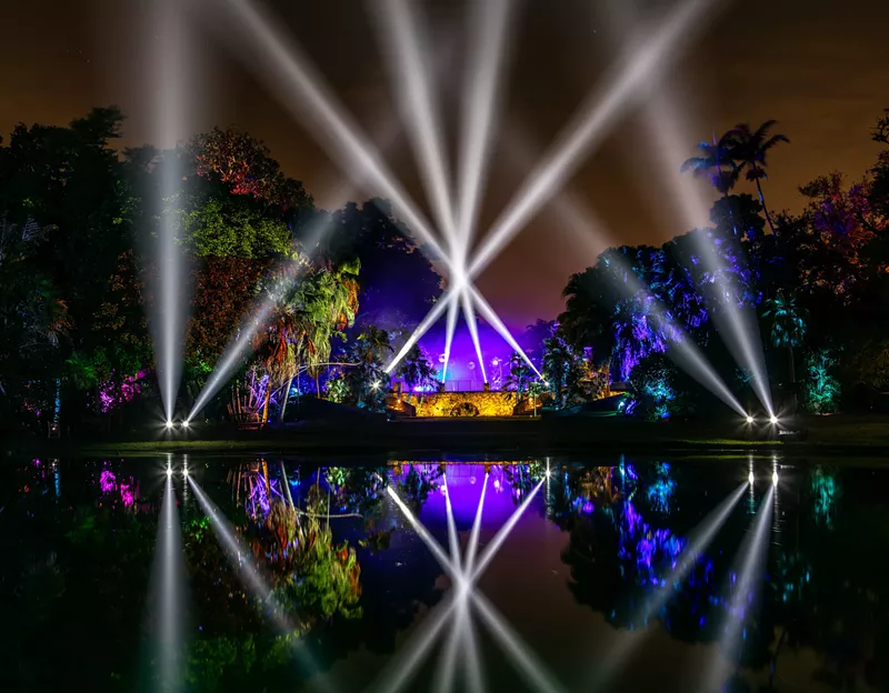 Image: Light up your life.
