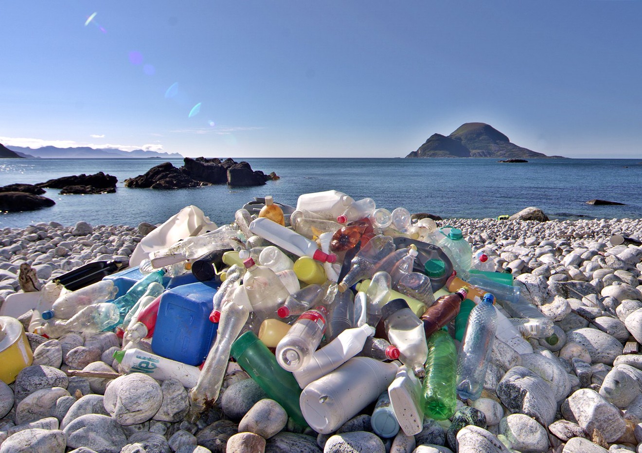 Environmentalists say single-use plastics pollute the oceans, causing damage to ecosystems.