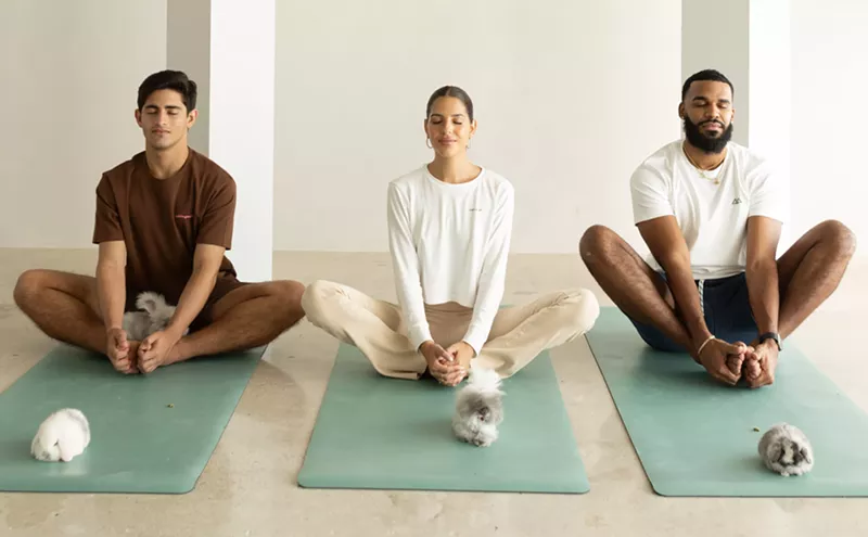Image: Five Wildest Yoga Classes in Miami: Bunnies, Goats, Puppies, and More