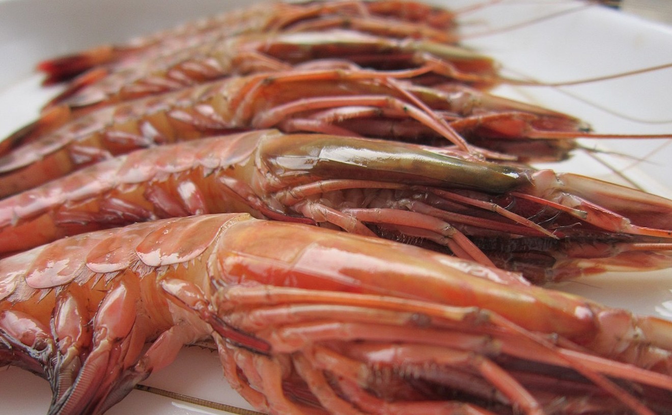 Florida's New Shrimping Regulations Won't Put Local Catch on Your Table