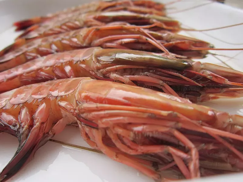 Image: Shrimping ain't easy.