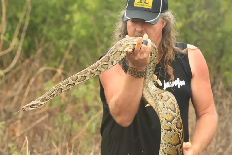 Image: Dusty "Wildman" Crum hunts invasive Burmese pythons in the Everglades on Guardians of the Glades.