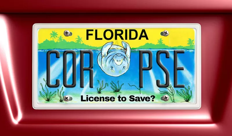 Image: Florida is one of several U.S. states that takes in a significant portion of its funding for its endangered-wildlife programs through the sale of specialty license plates.