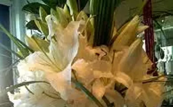 Image: Flower Bar