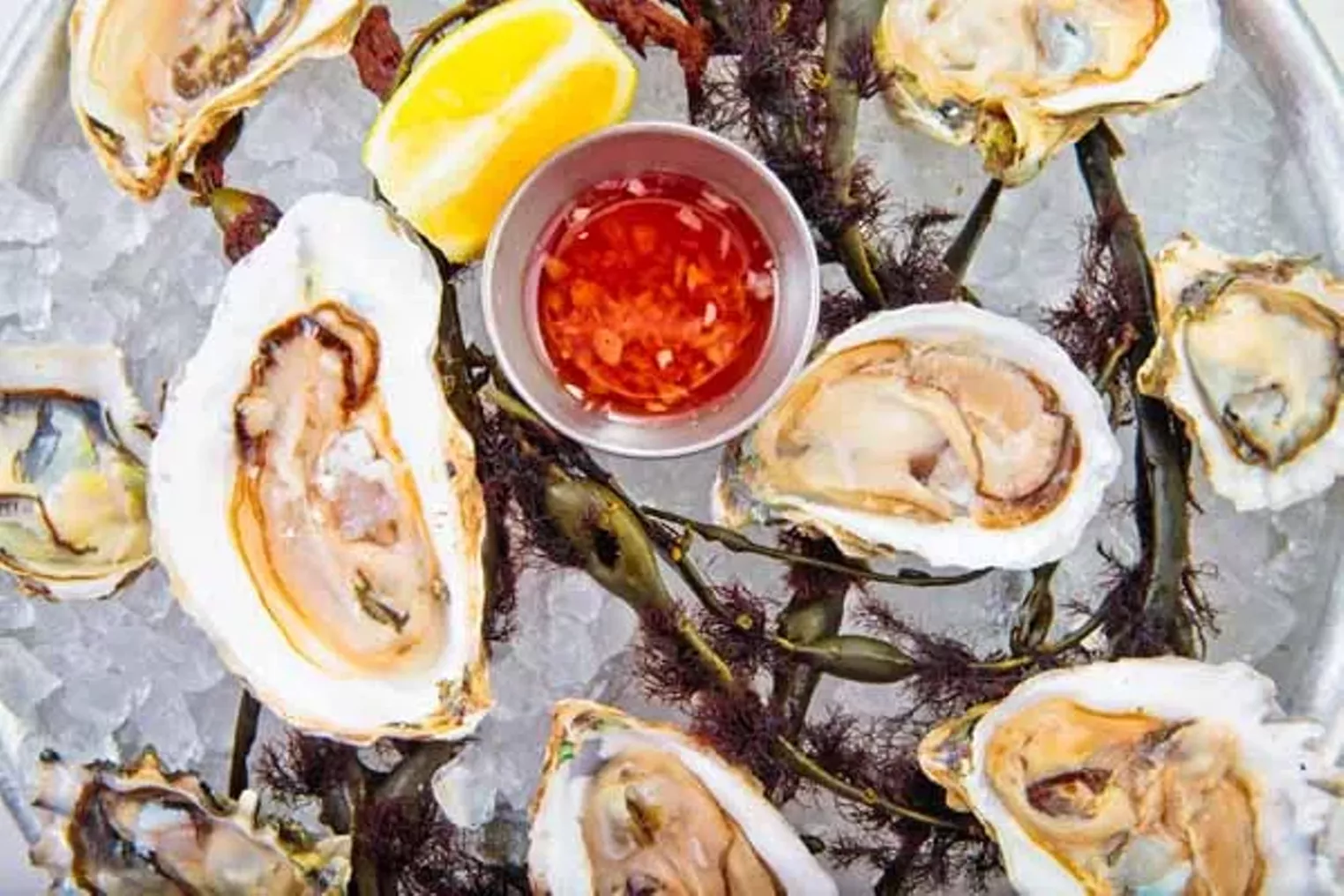 Closer Look The River Seafood & Oyster Bar Miami Miami New Times