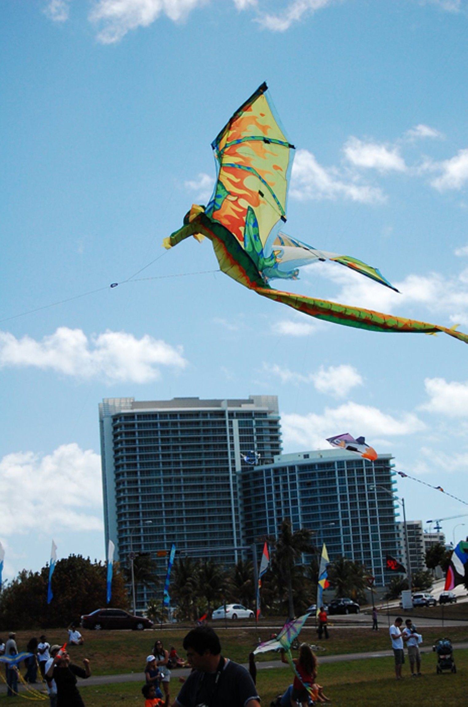 Haulover Park Kite Festival Miami Miami New Times The Leading