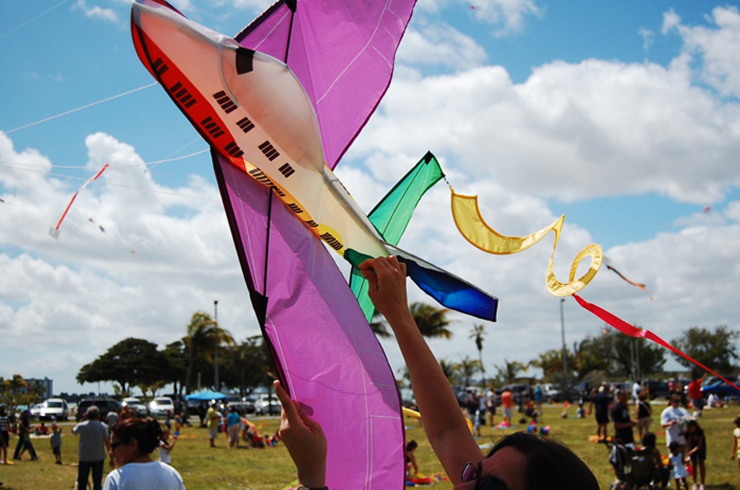 Haulover Park Kite Festival Miami Miami New Times The Leading
