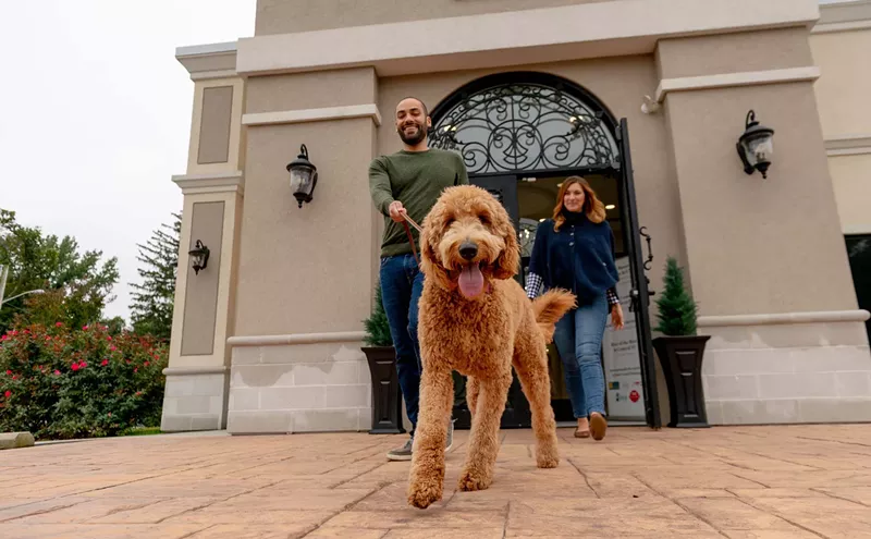 Image: Hotel for Dogs: A Luxury Pet Resort Just Opened in Pompano Beach