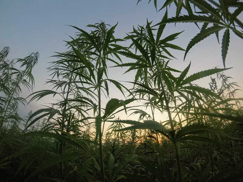 Image: Follow our step-by-step guide and you'll be medicated in no time.