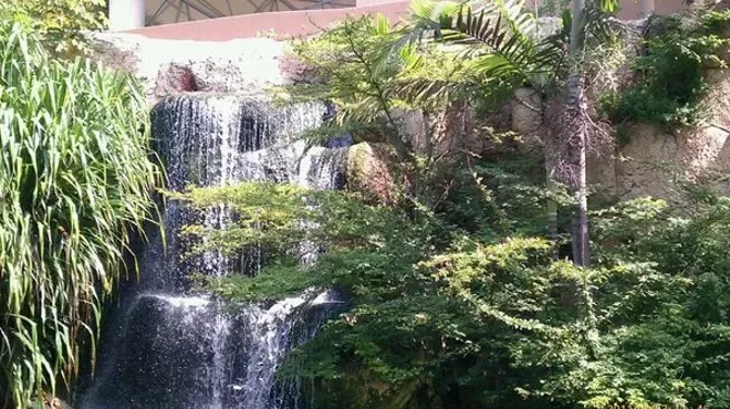 Image: Jungle Island
