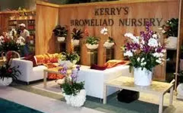 Image: Kerry's Bromeliad Nursery