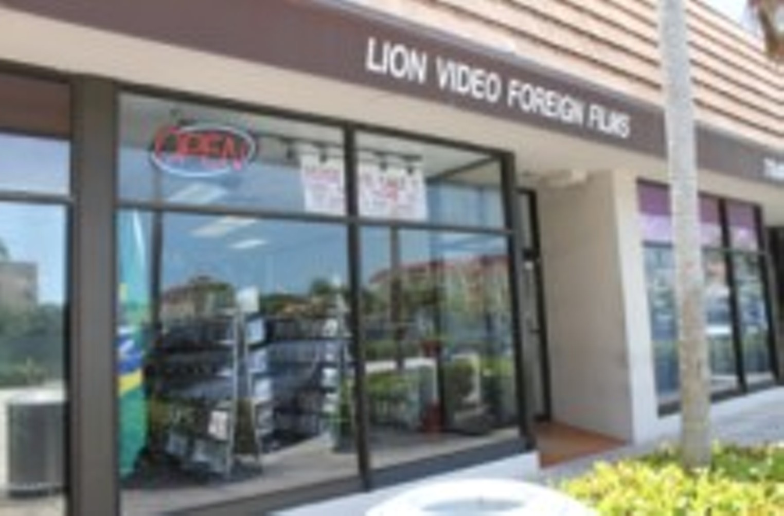 Best Video Store 2000 Lion Video Best Restaurants, Bars, Clubs, Music and Stores in Miami Miami New Times image
