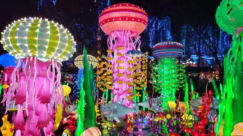 Image: A preview of what's to come at Luminosa! Festival of Lights