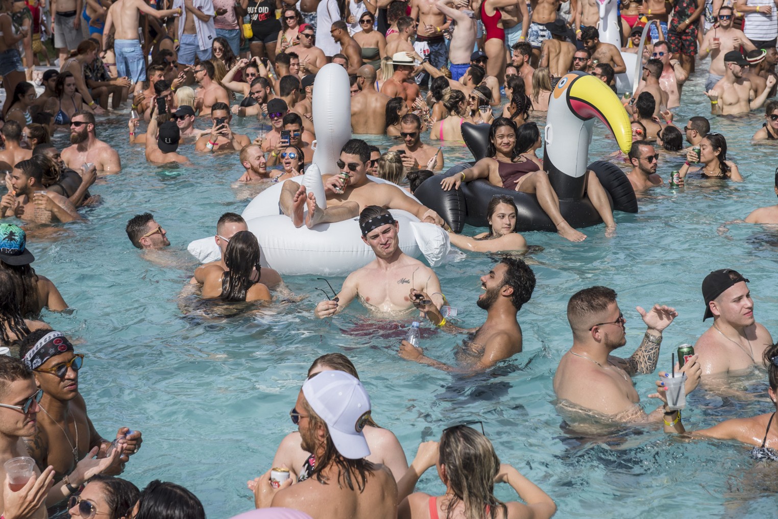 HOUSE MUSIC POOL PARTY MIAMI BEACH - FOAM PARTY - NIGHTCLUBS & MORE - 9 FEB  2020